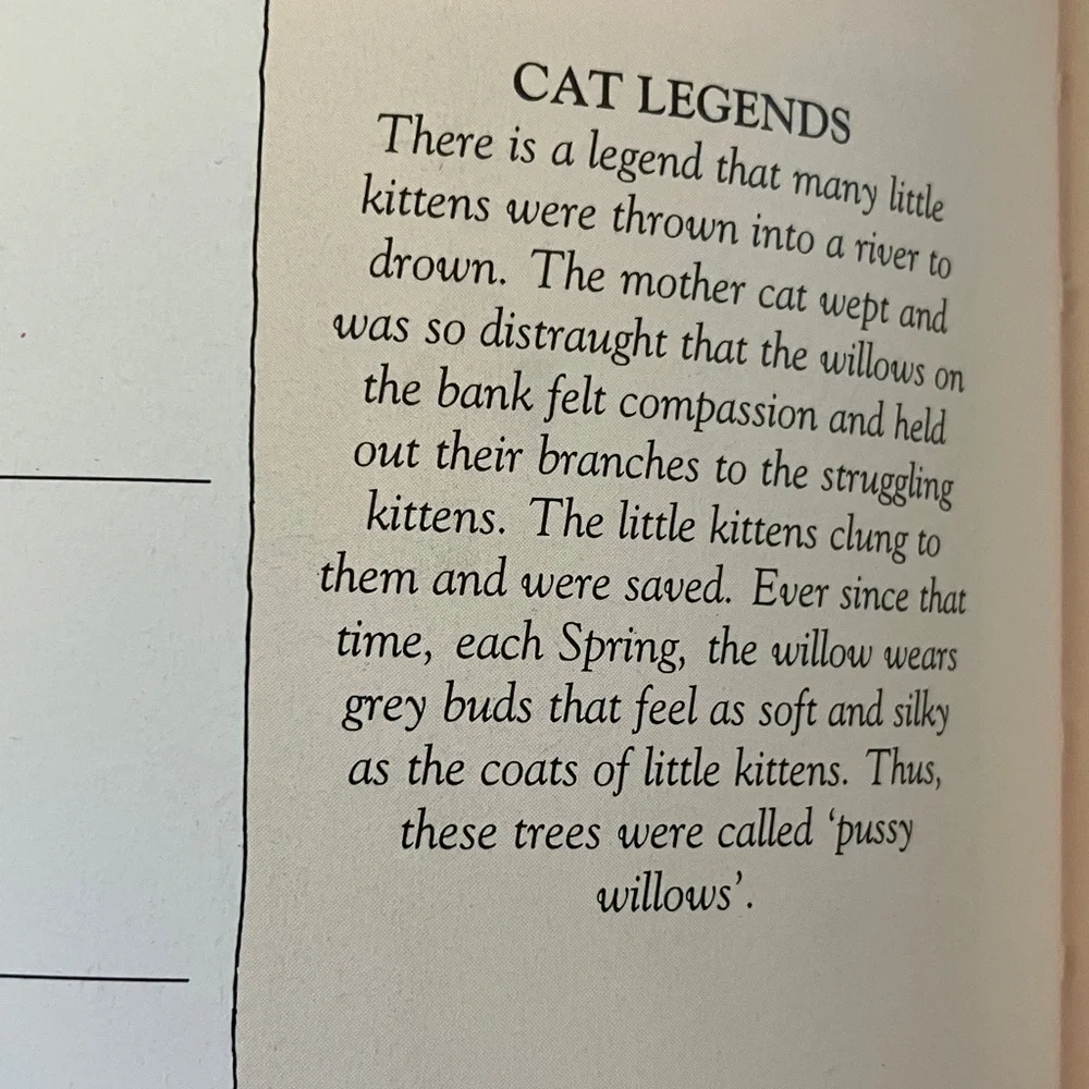 Calendar Desk Book